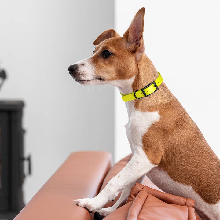 Dogline - Wholesale Pet Collar - Dog - Biothane Waterproof Collar