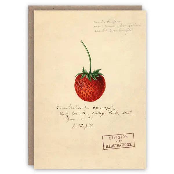 Strawberry Card for wholesale by ikonink