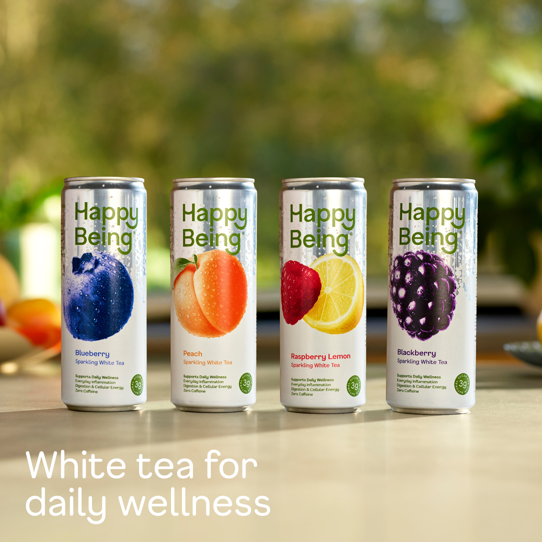 Happy Being - Wholesale Iced Tea - 16 pack Sparkling Variety1