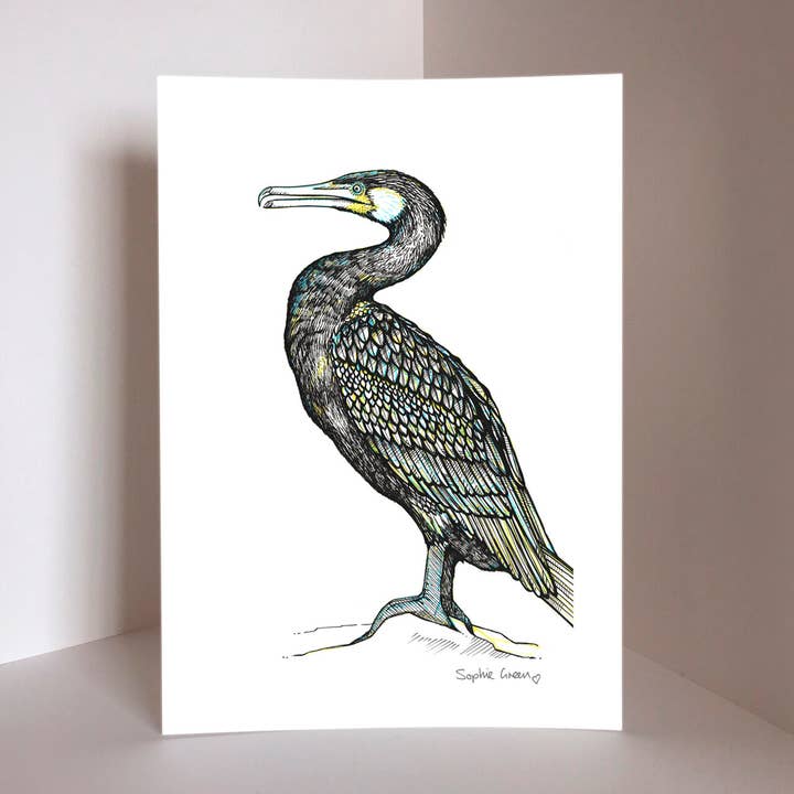 Cormorant Art Print for wholesale by Sophie Green Artist