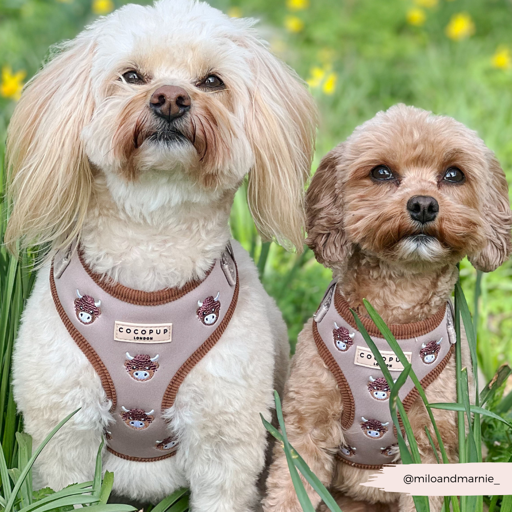Cocopup London - Wholesale Pet Harness - Dog - Harold the Highland Cow Adjustable Neck HARNESS9