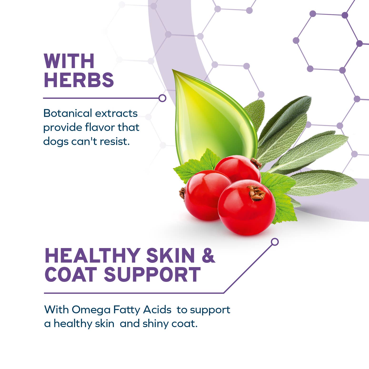 Forza10 Pet Food - Wholesale Pet Food - Dog - FORZA10 DAILYPRO SENSITIVE SKIN MEDIUM & LARGE BREED5