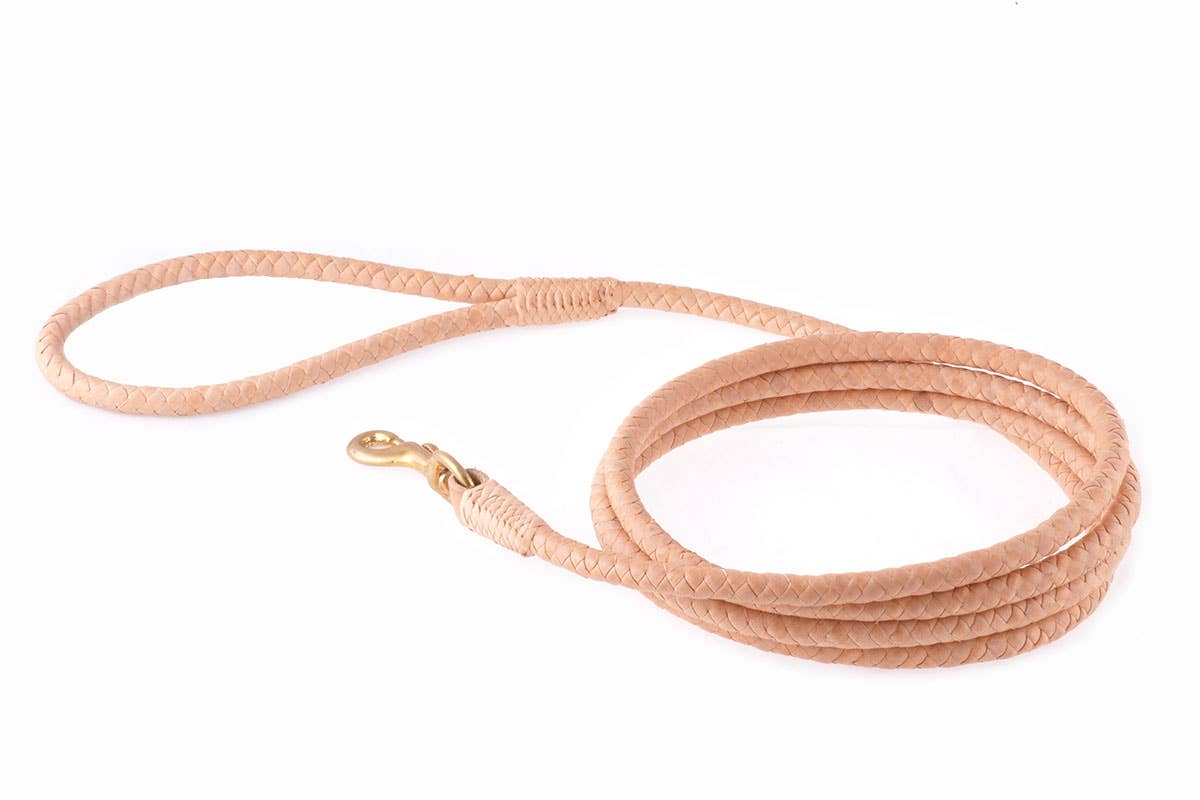 Alvalley - Wholesale Pet Leash - Dog - Braided Leather Snap Leads24