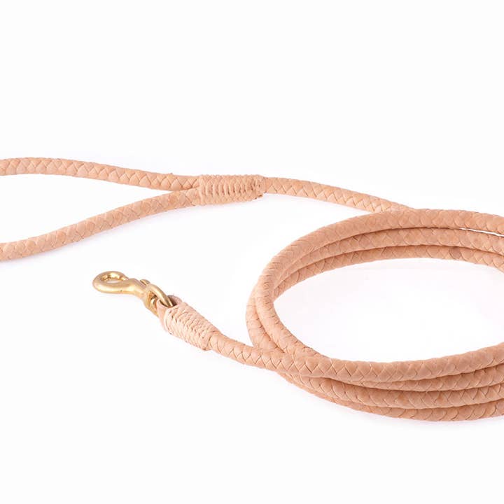 Alvalley - Wholesale Pet Leash - Dog - Braided Leather Snap Leads24