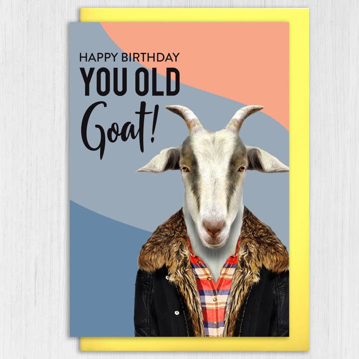 Prints With Personality - Vente Cartes d'anniversaire - Carte d'anniversaire Chèvre : Tu es une vieille chèvre (Animalyser)