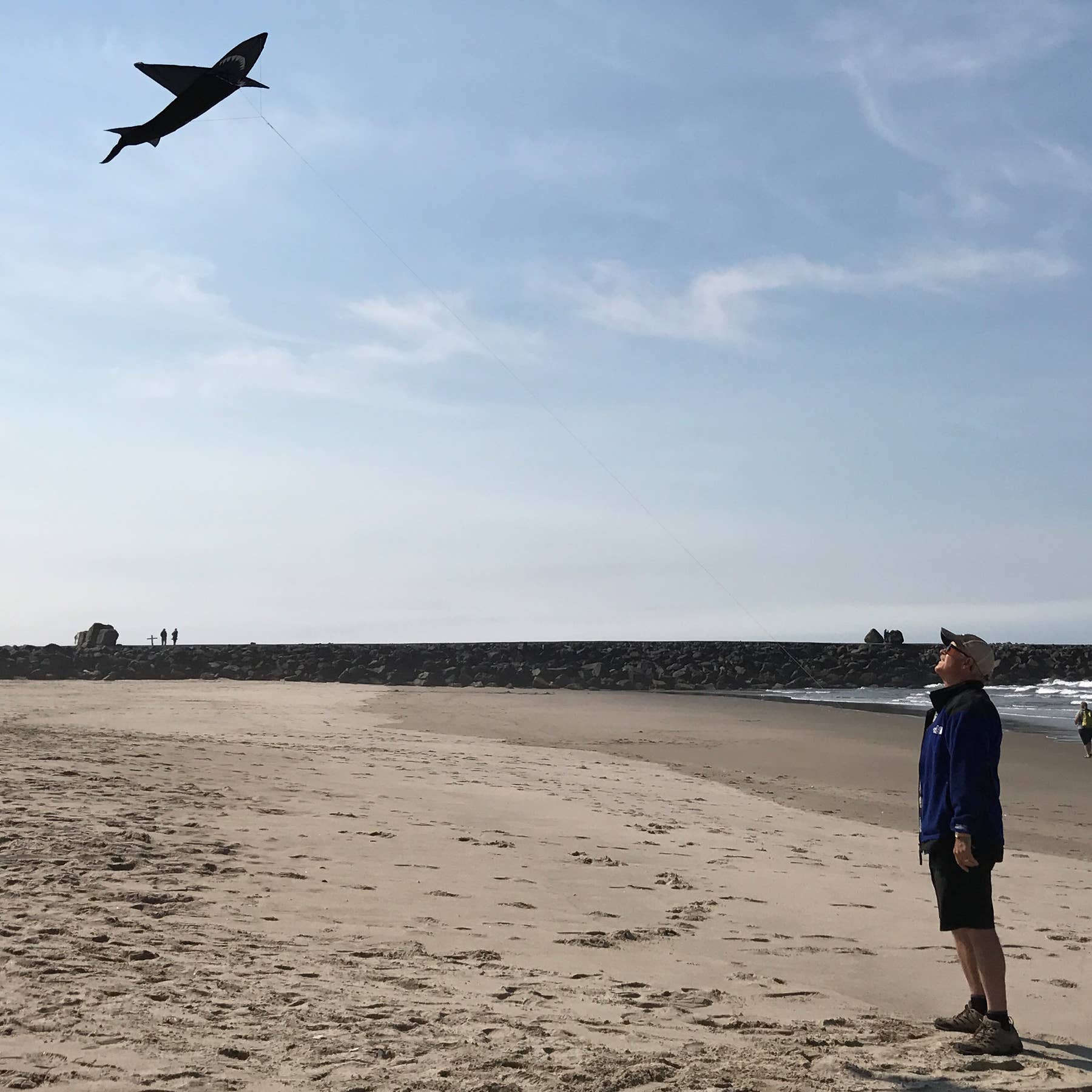 In the Breeze, LLC. - Wholesale Kite - 4' 3D Shark Kite3