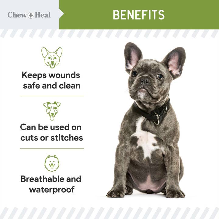 Chew + Heal – Großhandel Balsam für Haustiere – Hund – Flüssiger Verband für Hunde, unverzichtbar für Erste Hilfe bei Haustieren, 4 Unzen