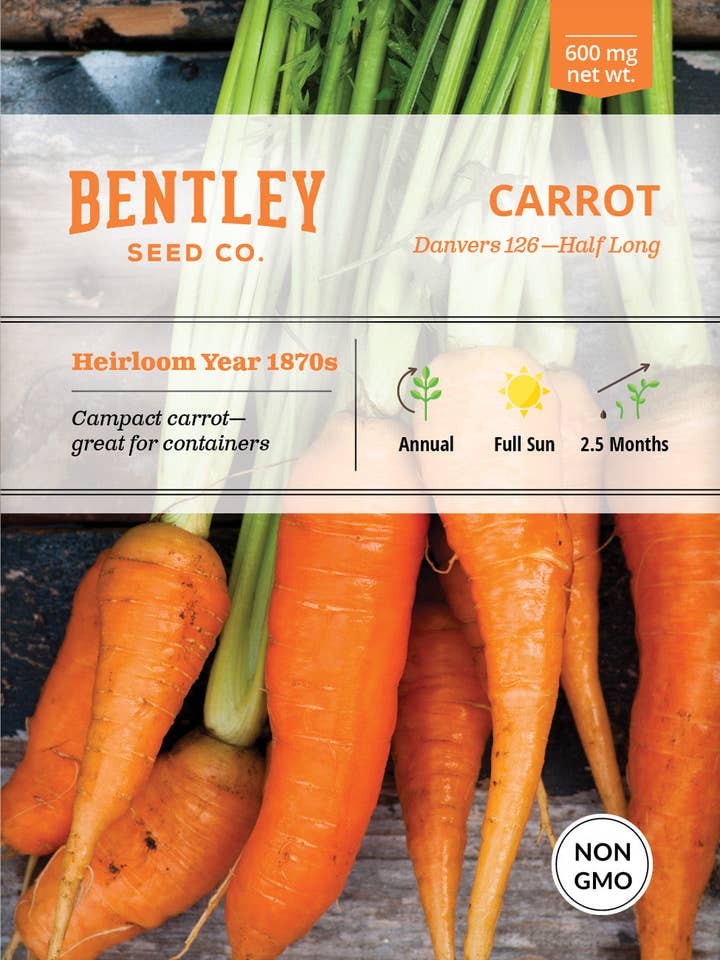 Carrot, Danvers Half Long Seed Packets for wholesale by Bentley Seed Co.