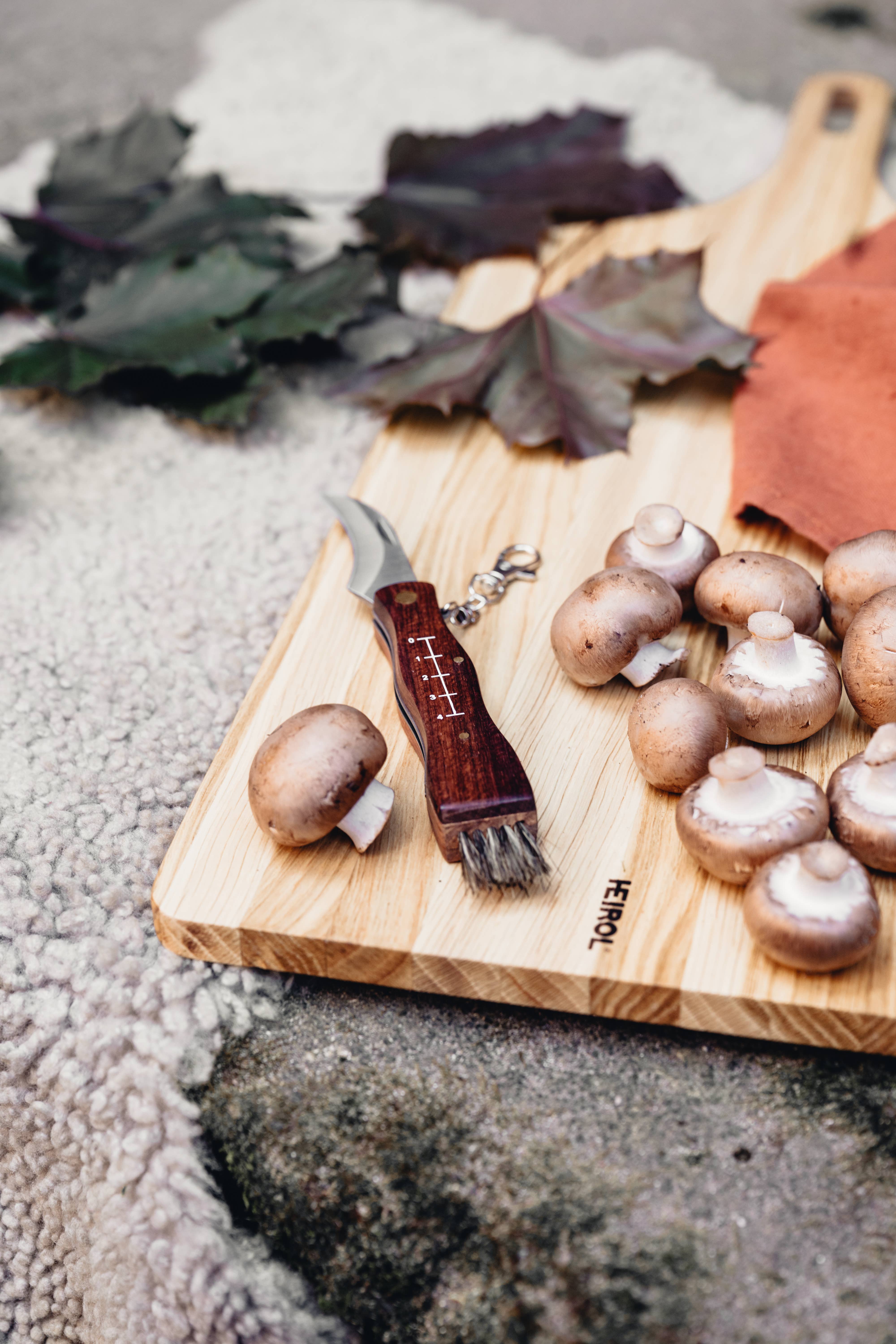 HEIROL - Vente Couteau de cuisine/multi-usage - Couteau pliant pour champignons avec étui ceinture3