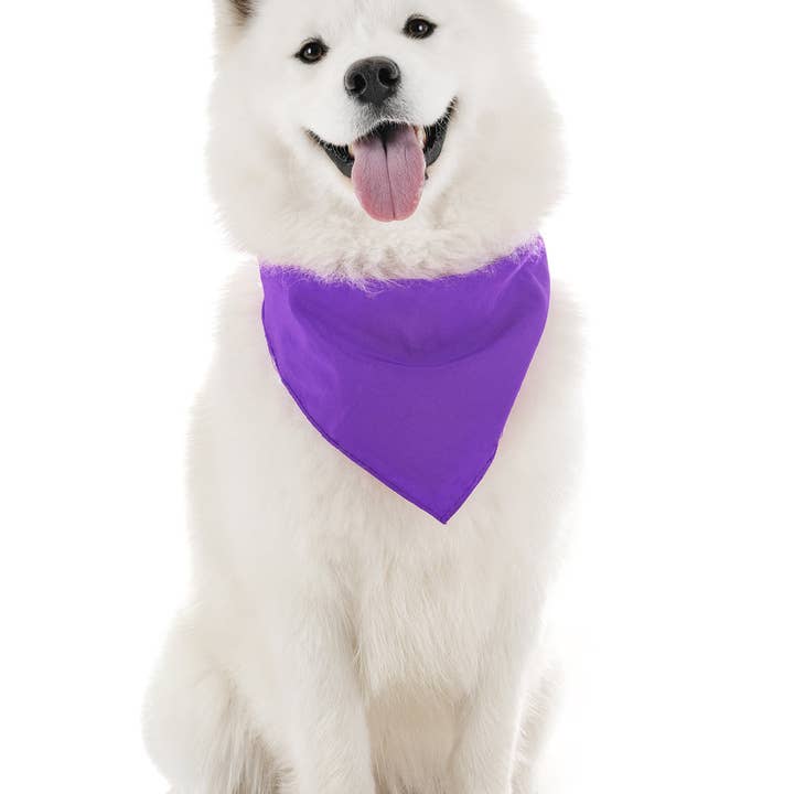 Bandanas Wholesale - Wholesale Pet Bandana - Dog - Pack of 30 XL Oversized Polyester Dog Bandanas Solid Colors