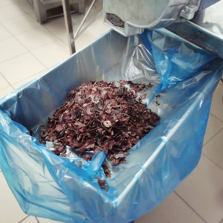 EES - Wholesale Jerky - Original Nam Flava Biltong van EES (100g)3