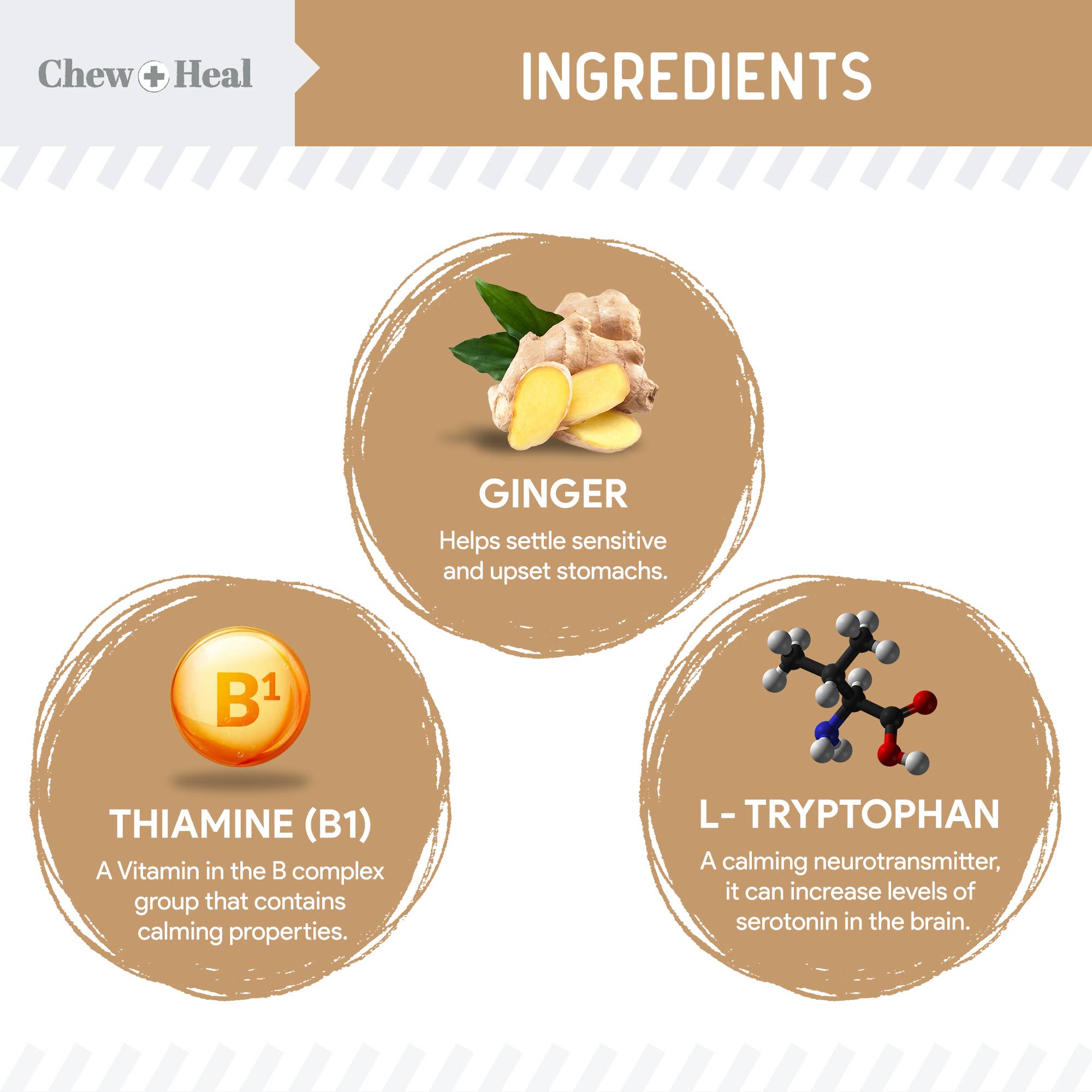 Chew + Heal – Großhandel Nahrungsergänzungsmittel für Haustiere – Hund – Anxiety + Stress Dog Erdnussbutter mit Geschmack, 60 Stück2