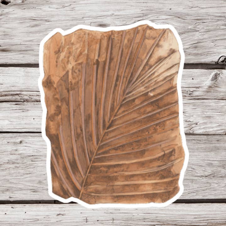 Pegatina fósil, pegatina de historia natural, pegatina fósil de helecho para venta al por mayor de NatureCuts