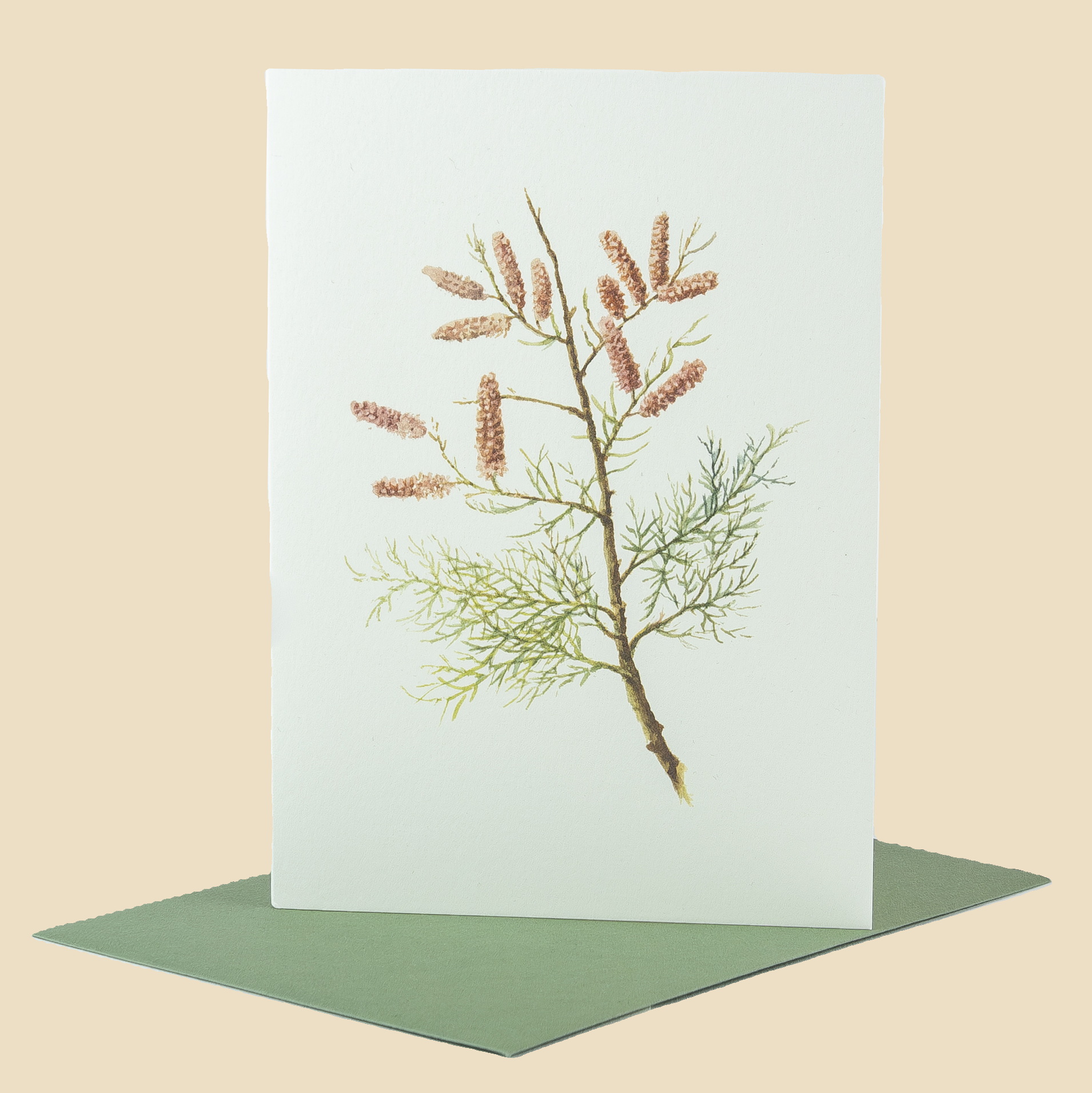 Sophia Davenport - Wholesale Everyday Greeting Card - Wildflower Greeting Cards and Notelets46