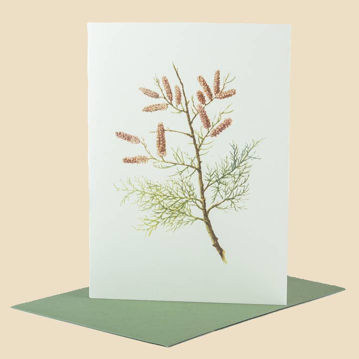 Sophia Davenport - Wholesale Everyday Greeting Card - Wildflower Greeting Cards and Notelets46