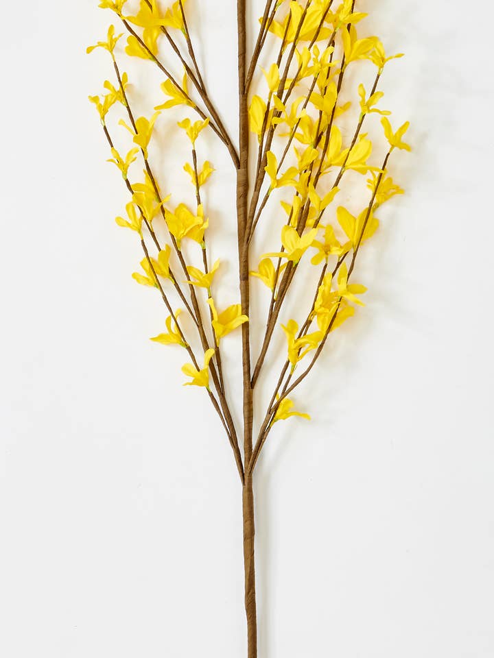 57" Forsythia Stem for wholesale by WORTH IMPORTS