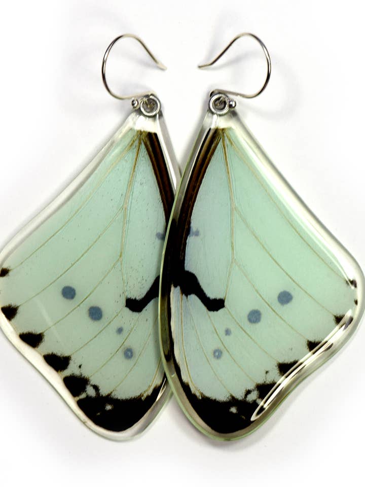 0530 Butterfly Earrings, Mint Morpho Butterfly, top for wholesale by Wingstitution
