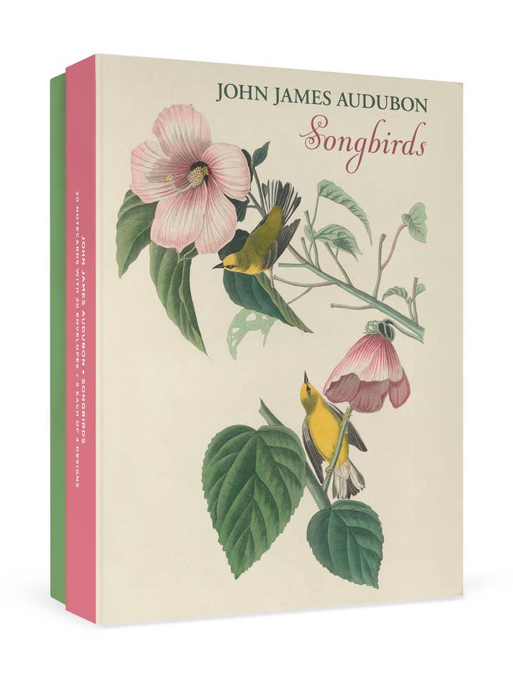 John James Audubon: Songbirds Boxed Notecard Assortment for wholesale by Pomegranate