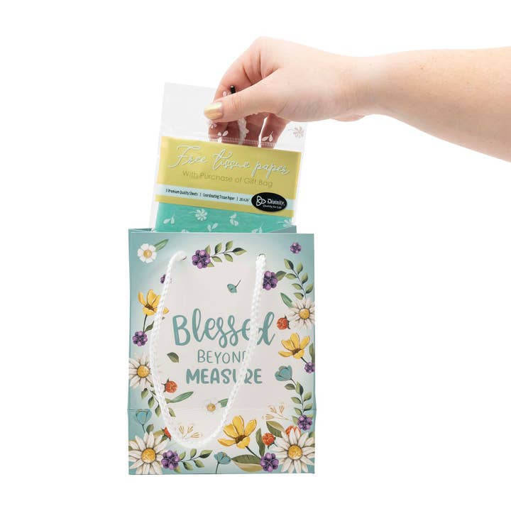 Divinity Boutique - Wholesale Gift Bag - Gift Bag: Blessed Beyond Measure3