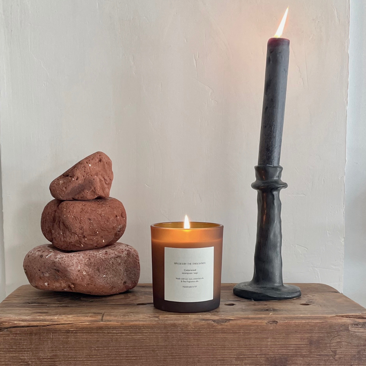Species by the Thousands - Venta al por mayor Velas en tarros - Vela de soja perfumada artesanal Cedarwood Sweetgrass + Sage4
