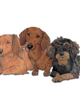 Teckel magneet houten voor wholesale door Pipsqueak Productions