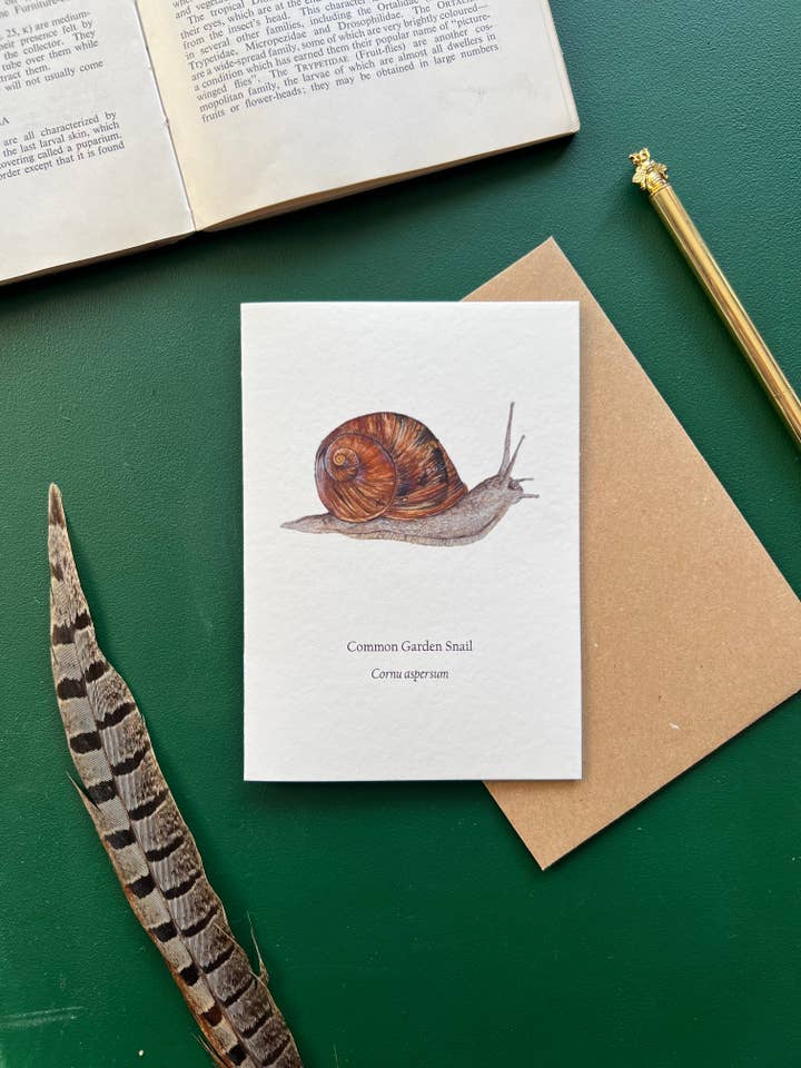 Garden Snail Card for wholesale by Tansy Moore