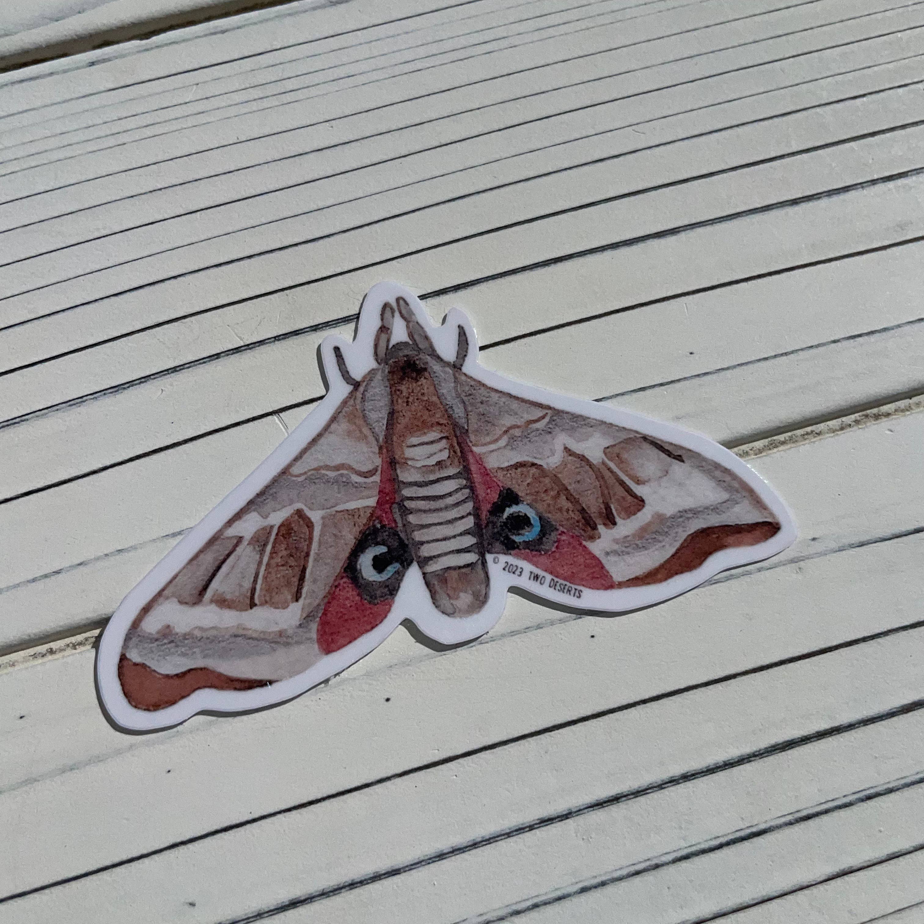 Two Deserts - Wholesale Sticker - Sphinx Moth Vinyl Sticker1