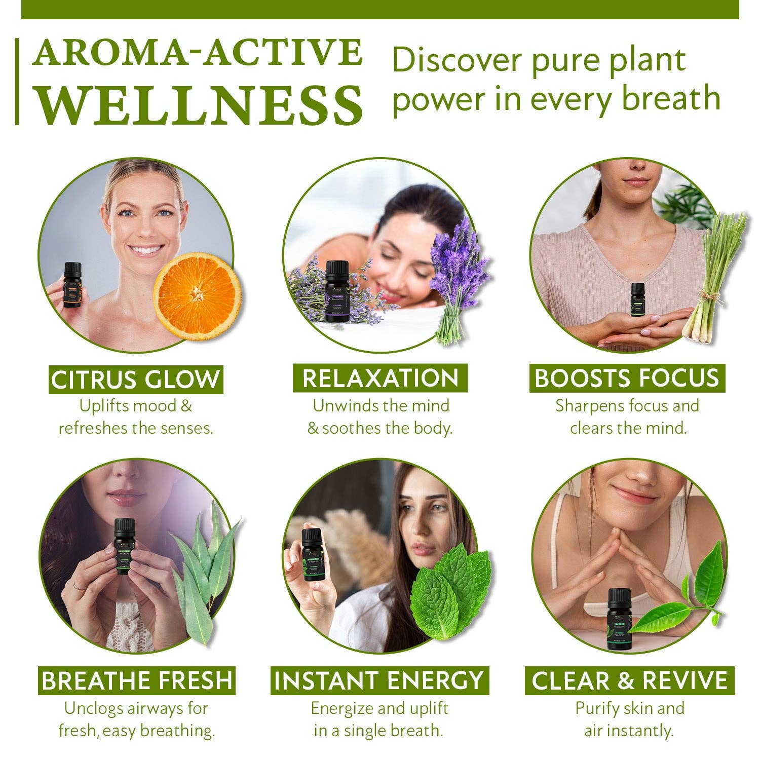 Organic Way LLC - Wholesale Etherische olie - 100% puur cadeaupakket met 6 essentiële oliën | Premium aromatische oliën | Sinaasappel, lavendel, citroengras, eucalyptus, pepermunt, tea tree | Oorsprong India (10 ml per stuk)6