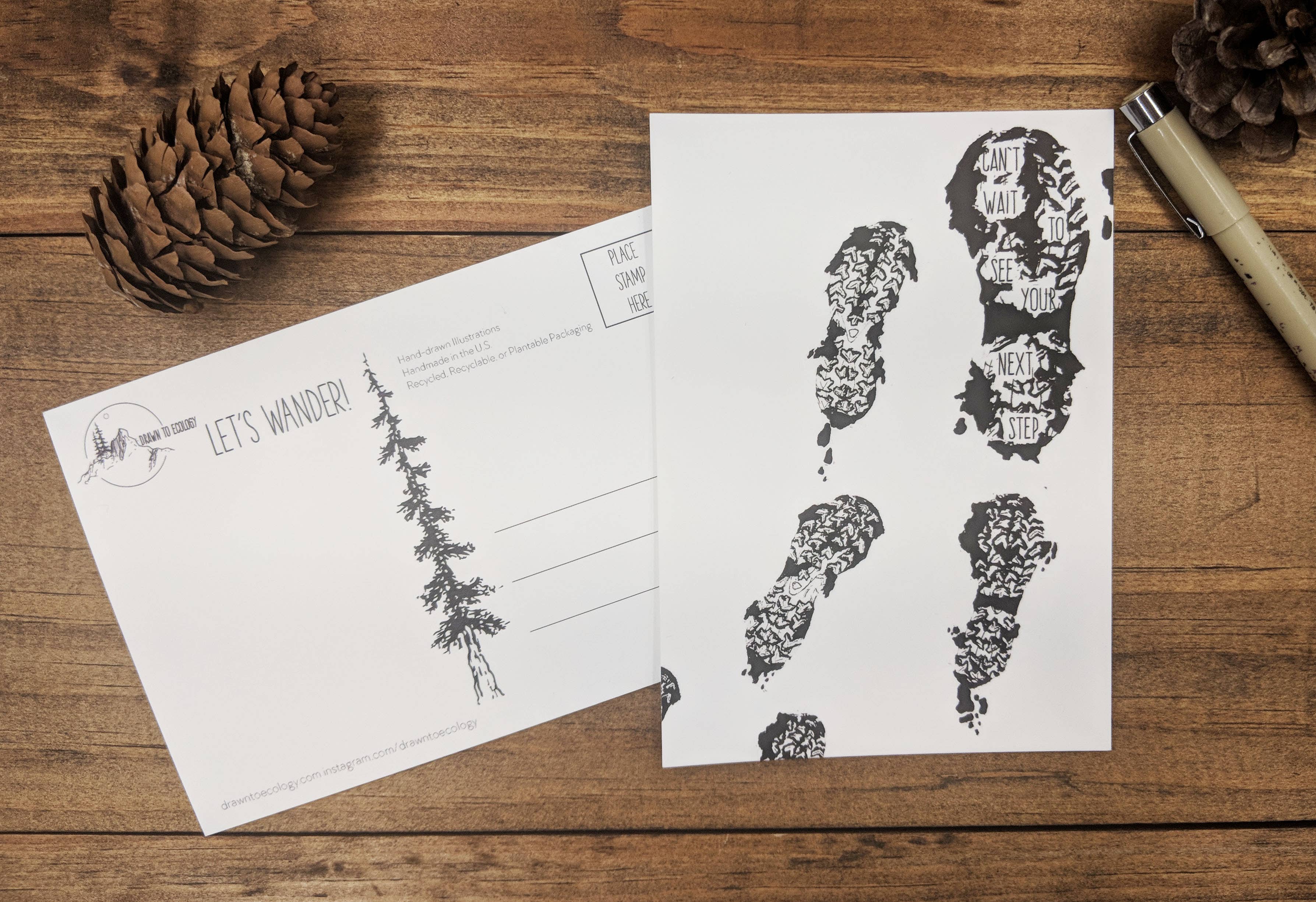 Drawn to Ecology - Wholesale Postcard - Next Steps Postcard6