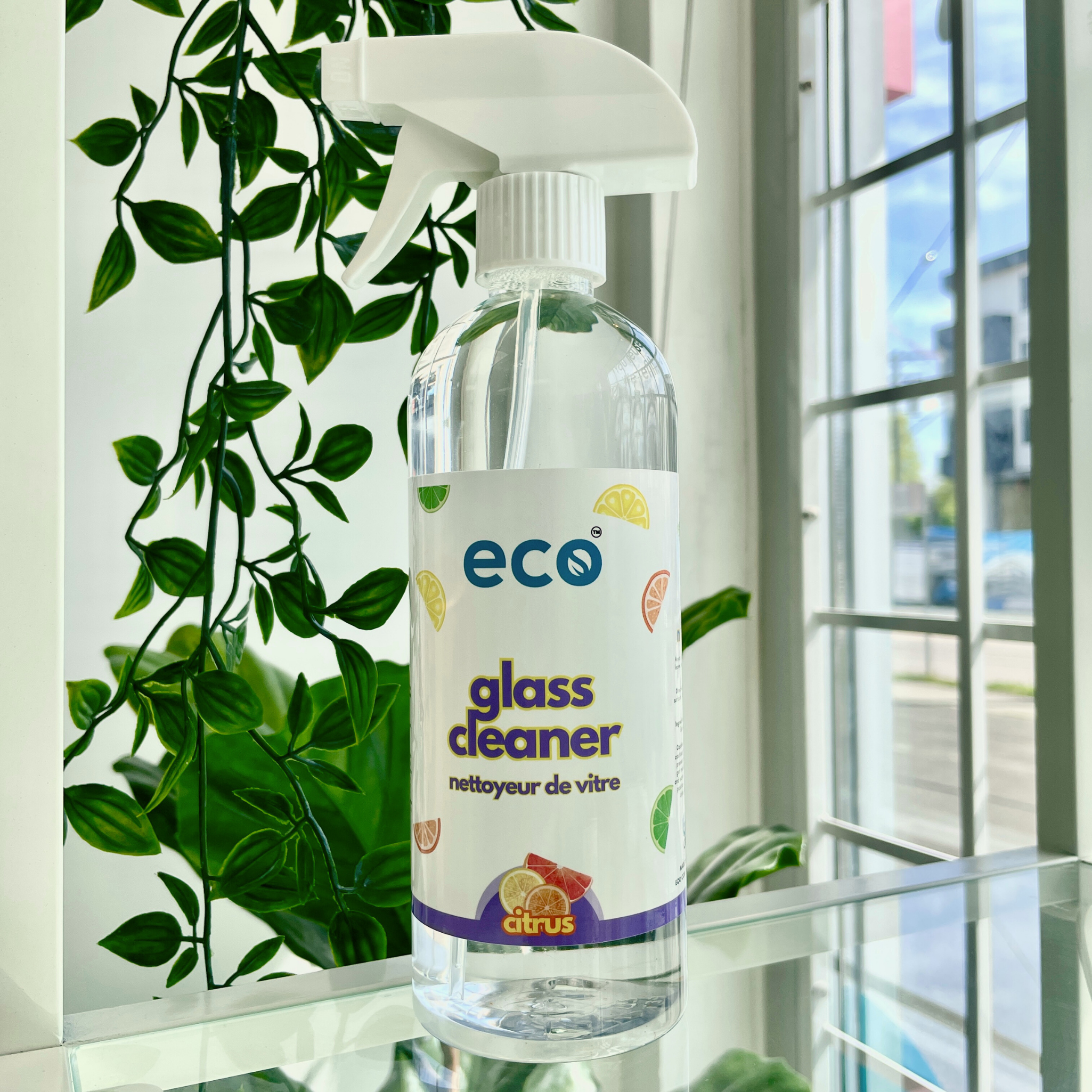 Eco Company - Wholesale Glass Cleaner - Glass Cleaner - Citrus (500ml)1