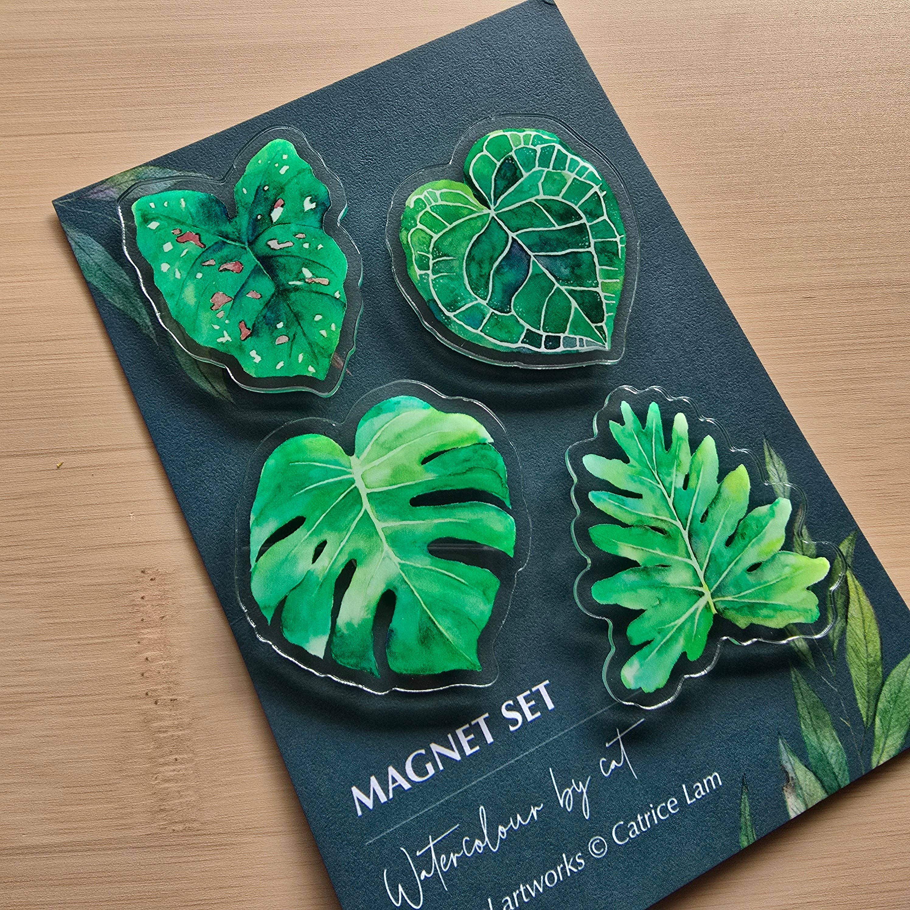 Watercolour By Cat - Wholesale Magnet - Indoor Plant Acrylic Magnet Set – 4 Pack  1
