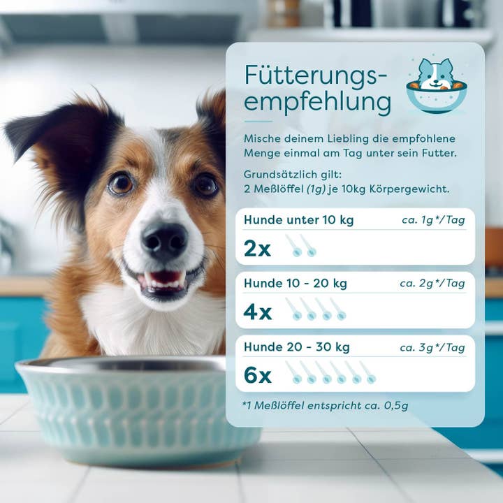 DrSAM - Wholesale Pet Supplement - Cat/Dog - ImmunBooster - Strengthens the immune system4