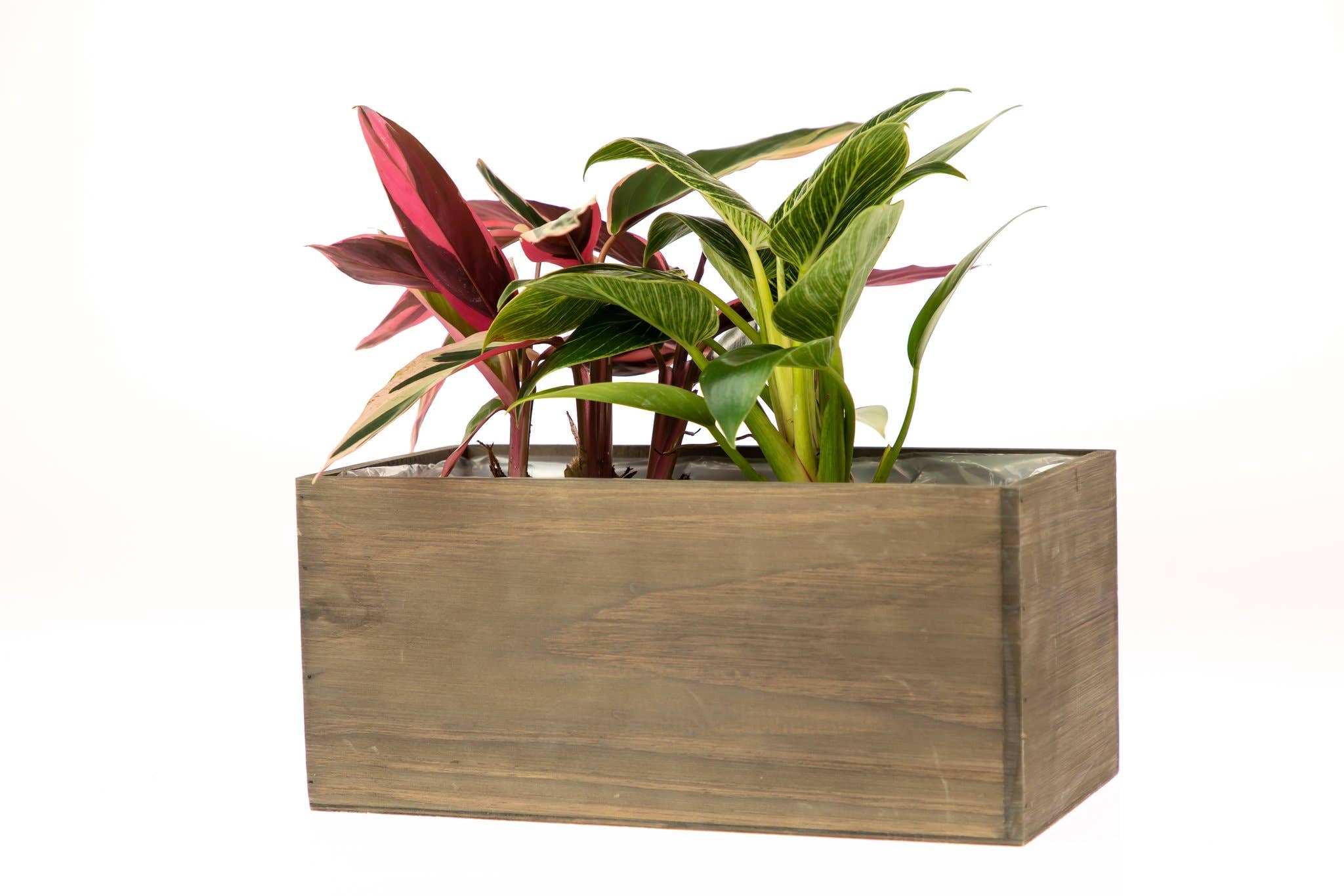 UNIMIX FLORAL - Wholesale Plantenbak - Houten plantenbakken/containers/dozen Floral Plant 8 „x4"8
