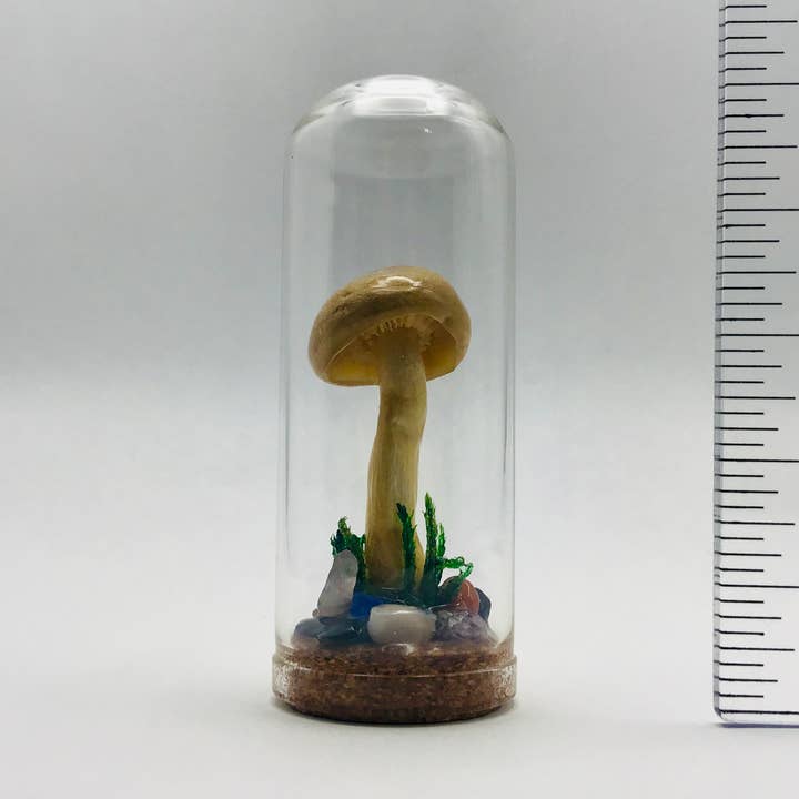 Äkta svampnyfikenhetsburk Svampudda dekoration 7 cm # 614 för wholesale av Fungus Farm LLC