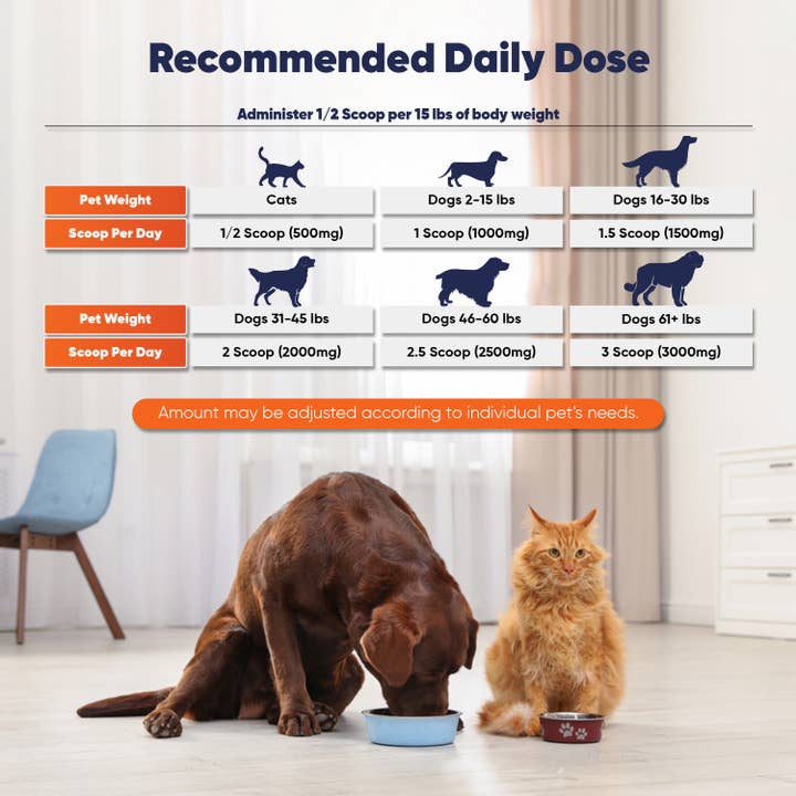 Vitamatic – wholesale Pet supplement – Cat/dog – Vitamatic | Bovine Colostrum for Dogs and Cats | 90 Grams
