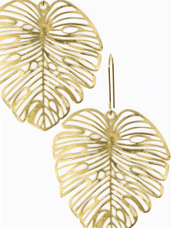 Lacy Monstera for wholesale by Brass Sand