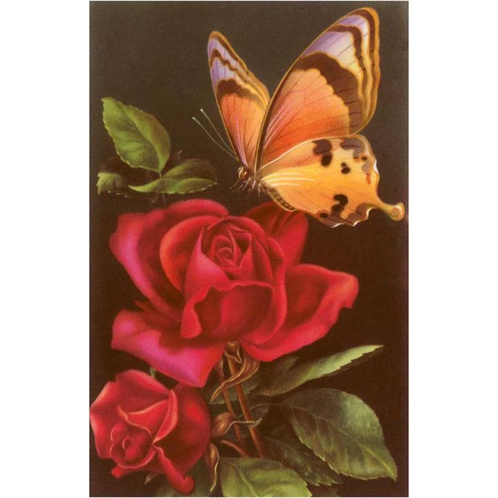 Greeting Card IS-16 Red Roses with Yellow Swallowtail Butter for wholesale by Found Image Press