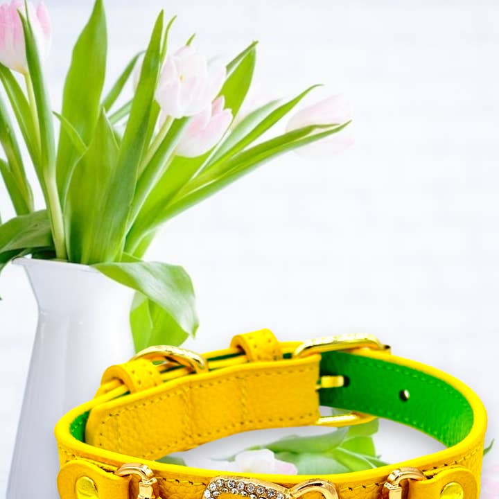 PupWiser - Wholesale Pet Collar - Dog - "D" Diamond Handmade Leather Dog Collar7