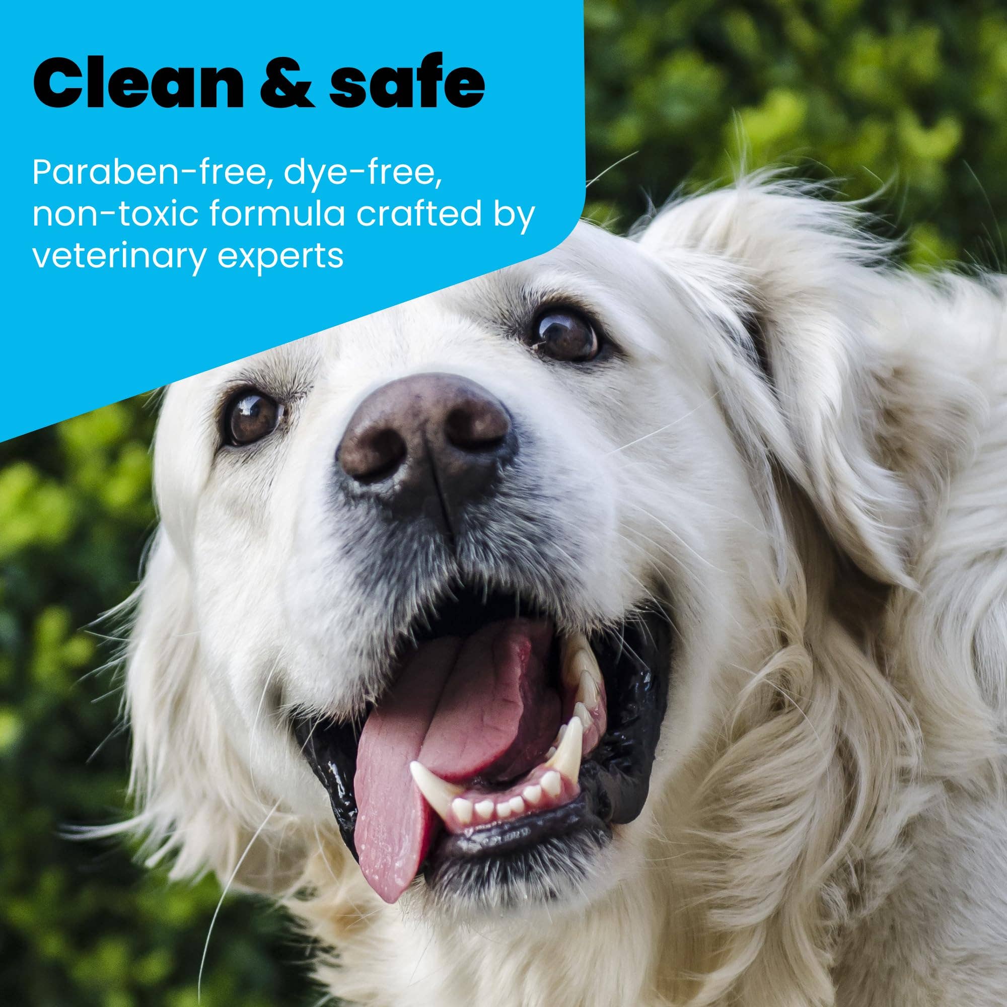 Infinite Health Labs, LLC – wholesale Kosttillskott för husdjur - Katt och hund – Oxydent Husdjur Tandvård11