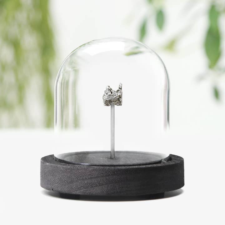 Curated Studio - Wholesale Decorative Tabletop Object - Campo Del Cielo Meteorite Fragment Meteor Bell Jar