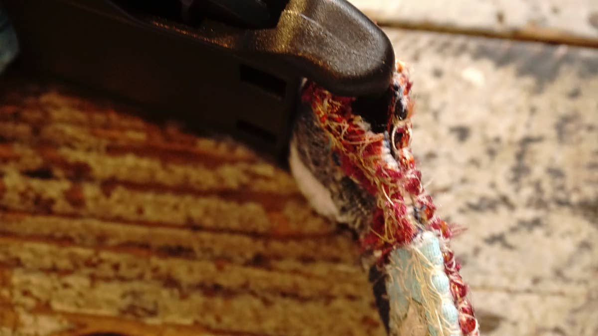 hundsfutter - Wholesale Pet Collar - Cat/Dog - Just this one. 14