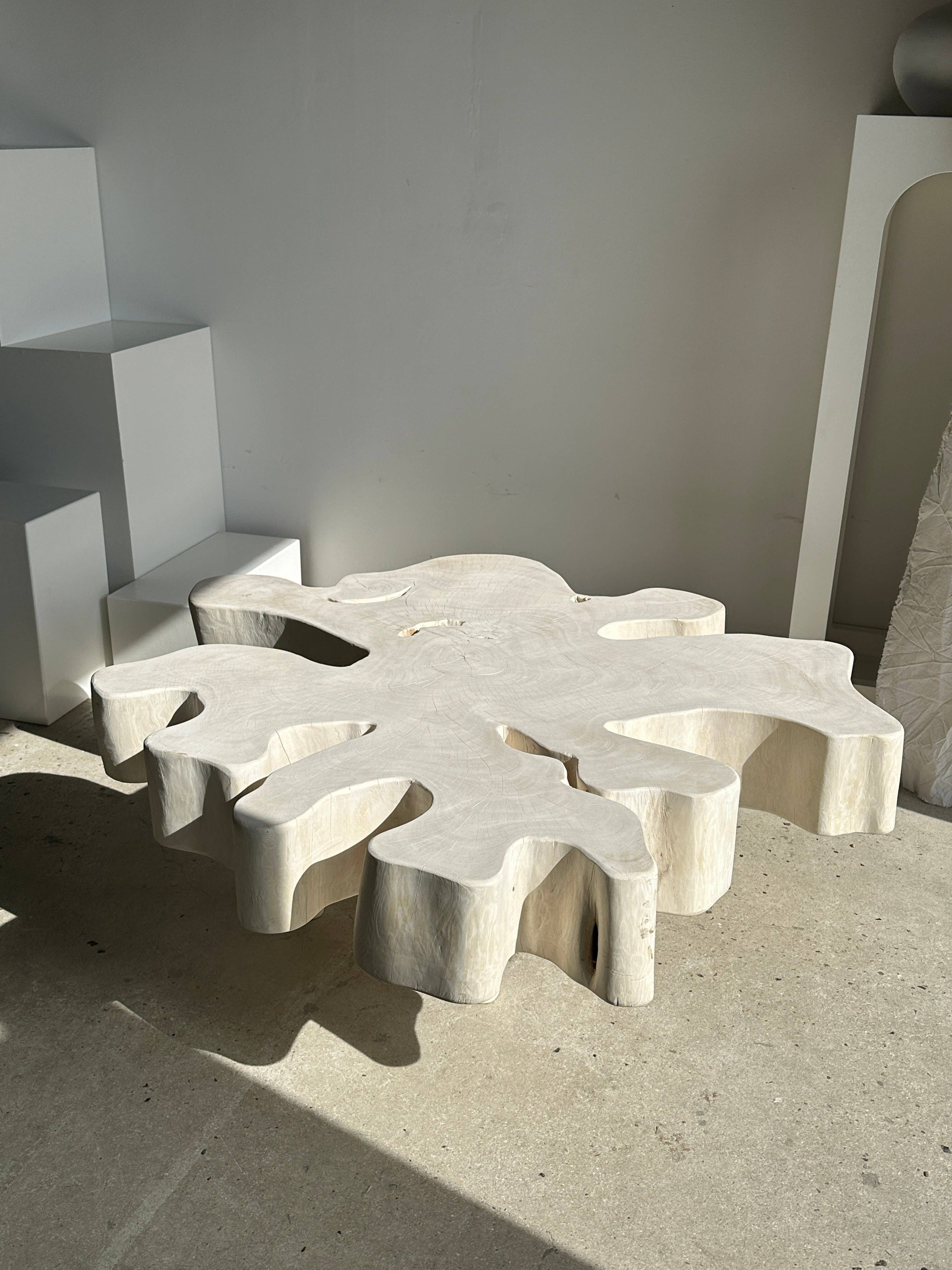 Office Objets - Wholesale Coffee Table - Very large coffee table in bleached mango wood with organic top D:140cm4