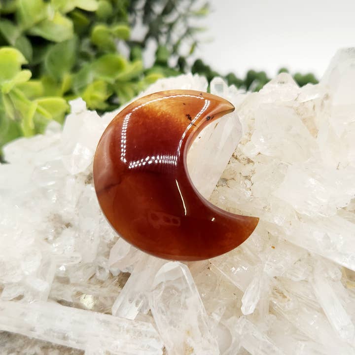 Meraki Gemstones – Engroshandel Spirituelle sten og krystaller – Amber Moon Form (Ca. 40mm) 100% Naturlig Rav7