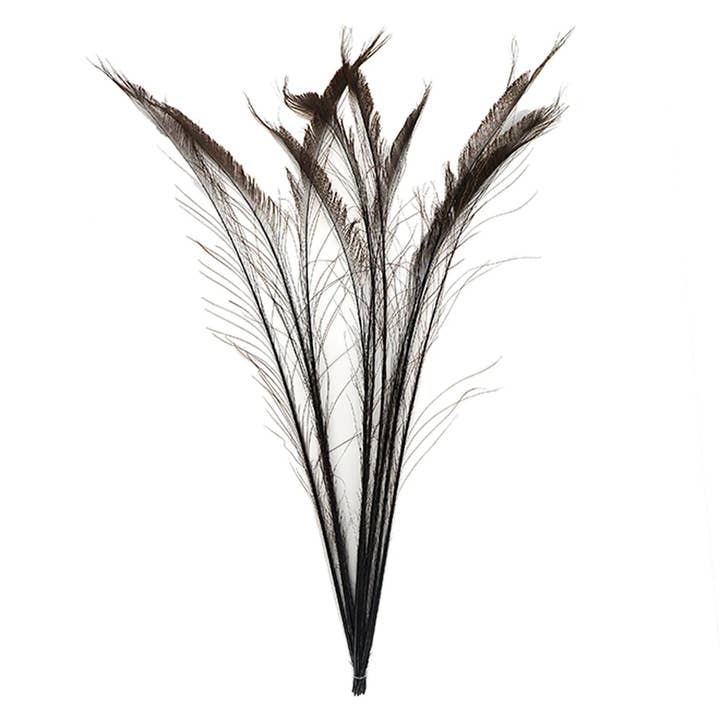 Espadas Pavão Bleaçadas/Tingidas - Castanho por atacado de Zucker Feather Products