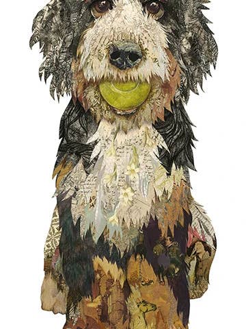 Impressão de Bernedoodle Bernie em Acrílico com Moldura por atacado de Brenda Bogart