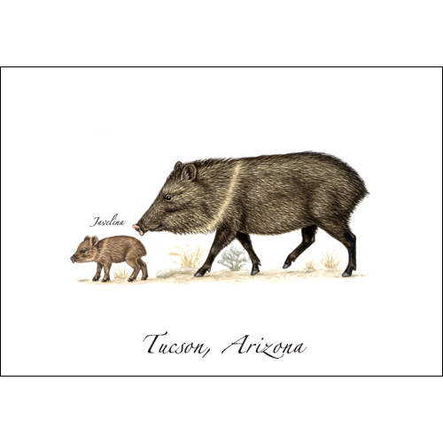 Earth Sky + Water - Wholesale Everyday Greeting Card - Javelina0