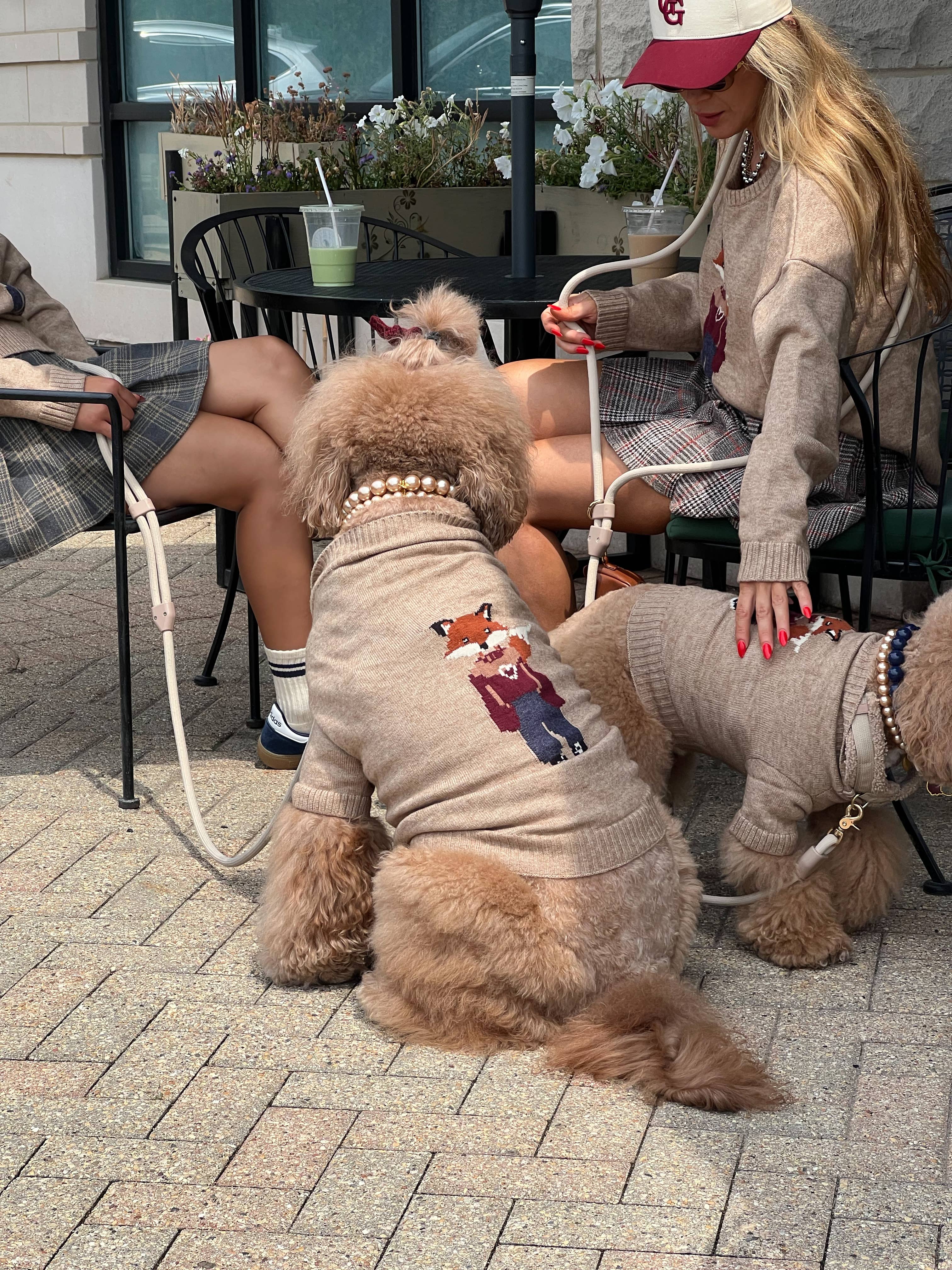 GIGI’S USA – wholesale Tröja - Hund – Foster Rävhundtröja2