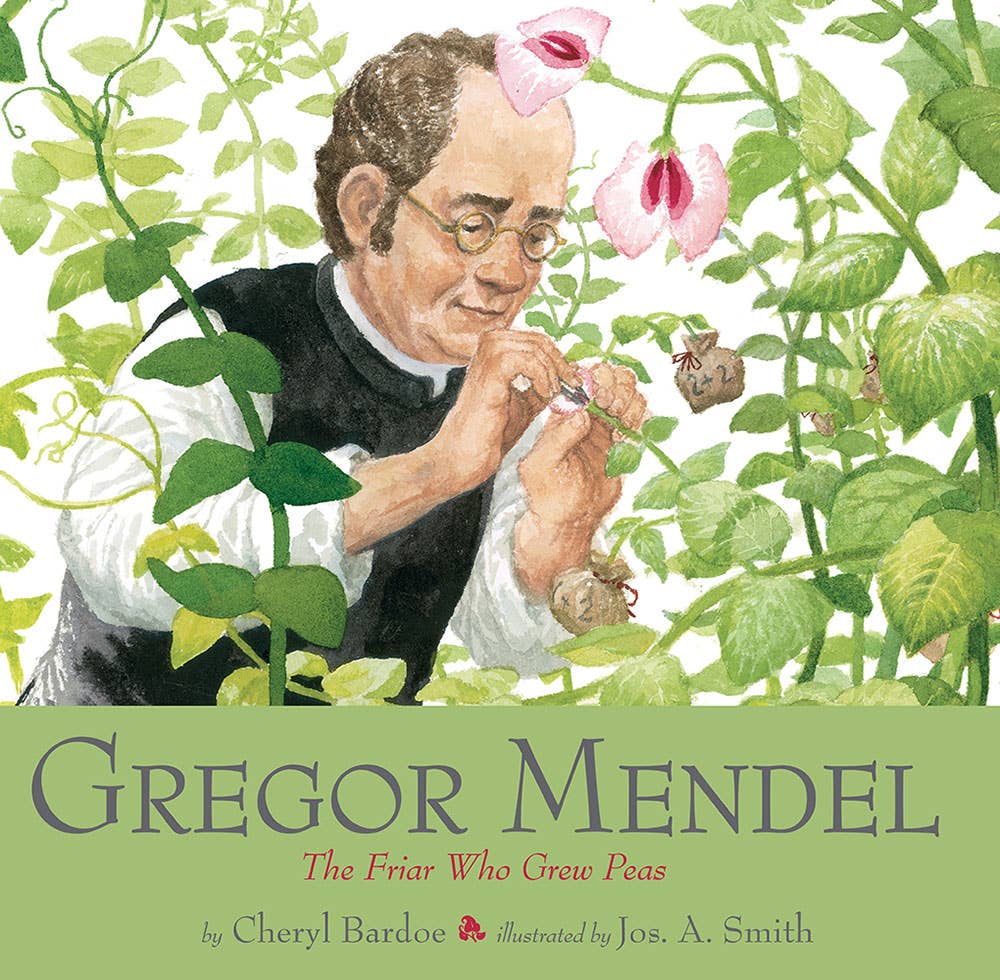 Abrams - Wholesale Biography & Memoir - Gregor Mendel: The Friar Who Grew Peas0