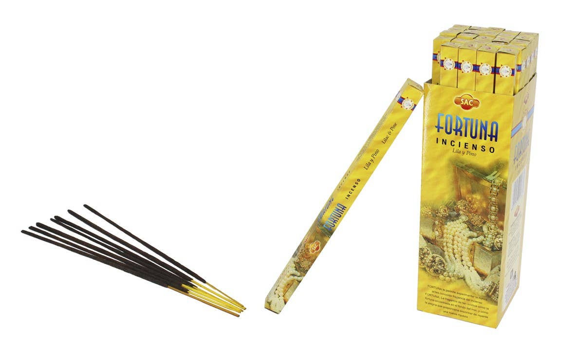 Esoterica Arte - Vendita all'ingrosso Incensi - Sac Incenso Fortuna busta (25 pezzi)0