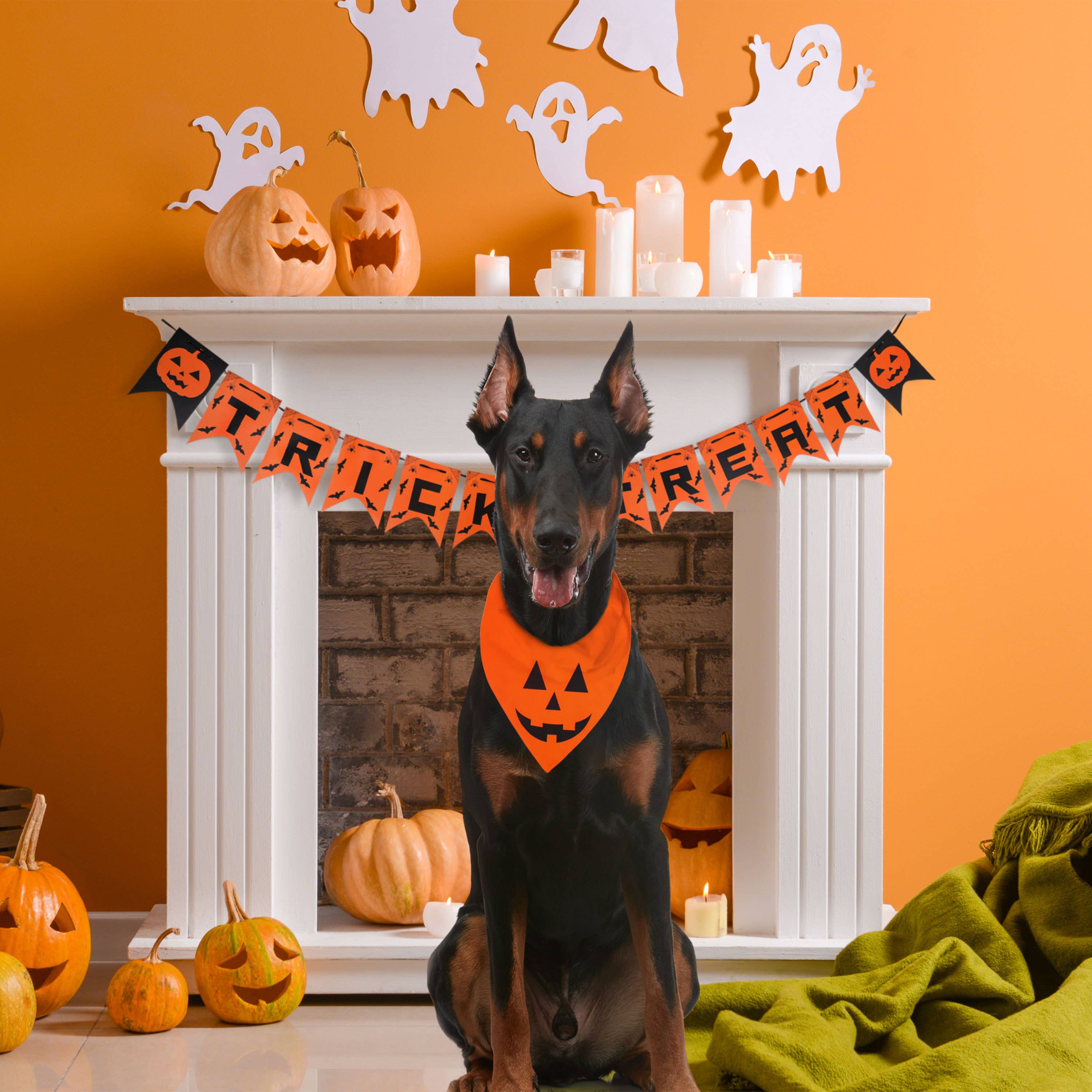 Odi Online - Wholesale Pet Bandana - Dog - Halloween Dog Bandanas and Banner Set1